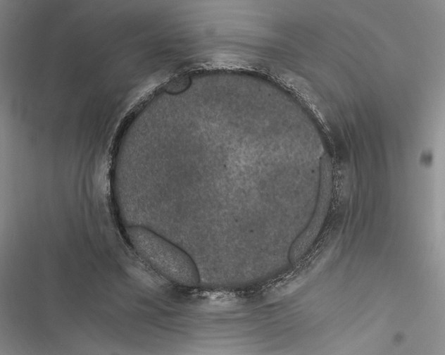 X0000116860395201001191706