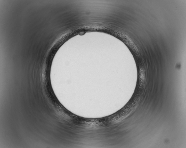 X0000116860396201001191706