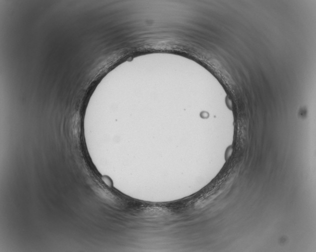 X0000116860397201001191706