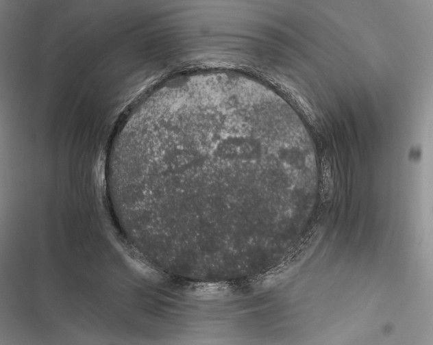 X0000116860398201001191706