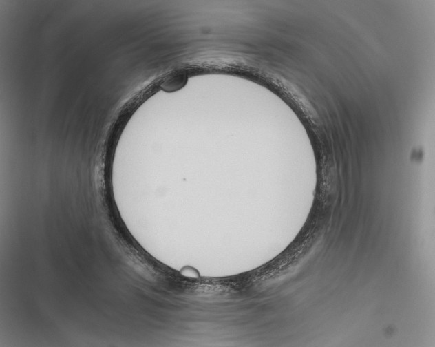 X0000116860399201001191706