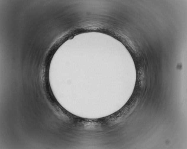 X0000116860400201001191706