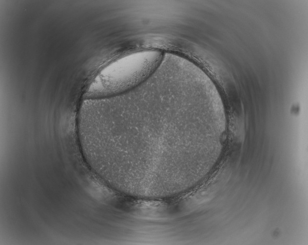 X0000116860401201001191706