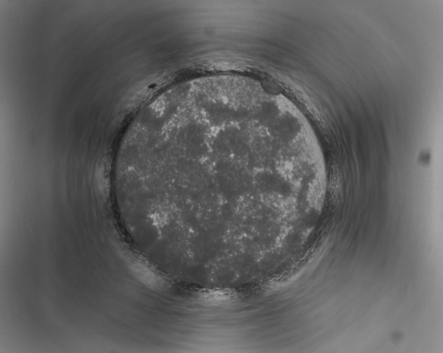 X0000116860402201001191706