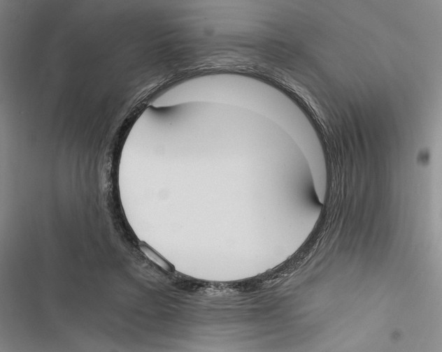 X0000116860403201001191706