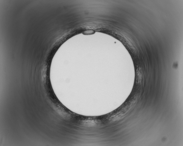 X0000116860404201001191706