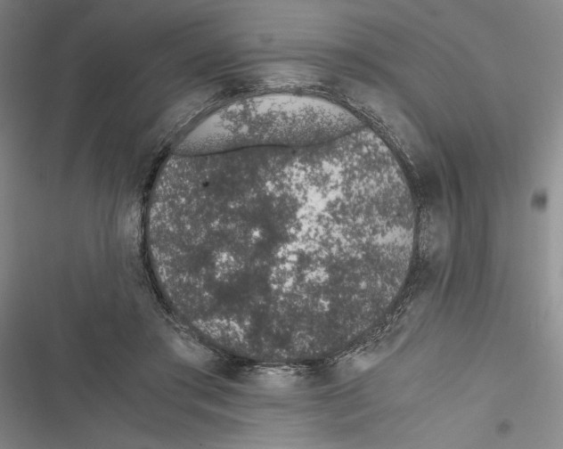 X0000116860405201001191706