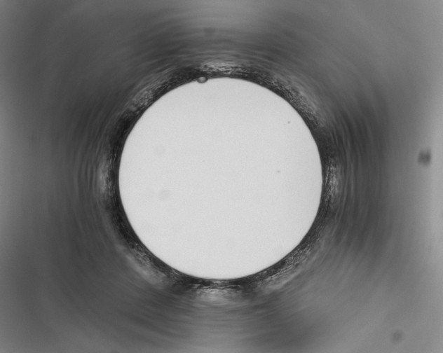 X0000116860408201001191706