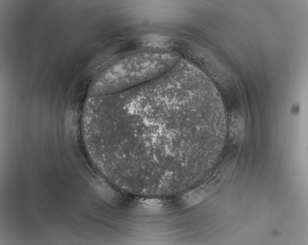 X0000116860409201001191706