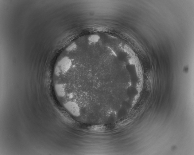 X0000116860410201001191706