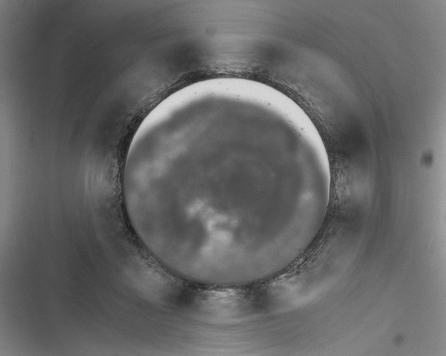 X0000116860411201001191706