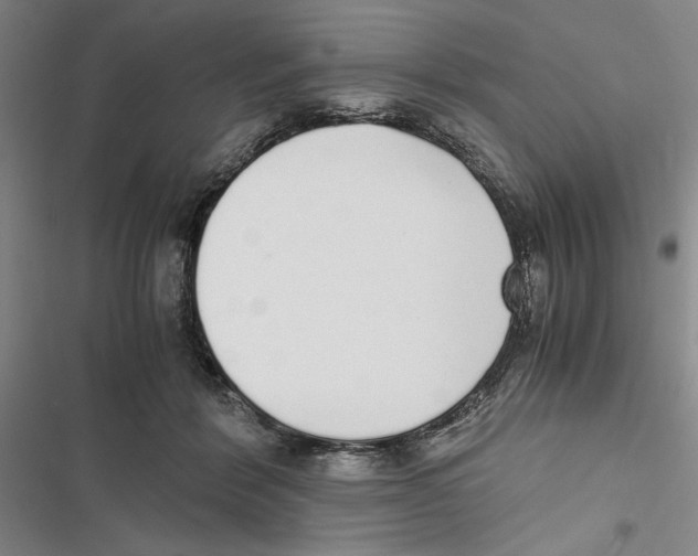 X0000116860412201001191706