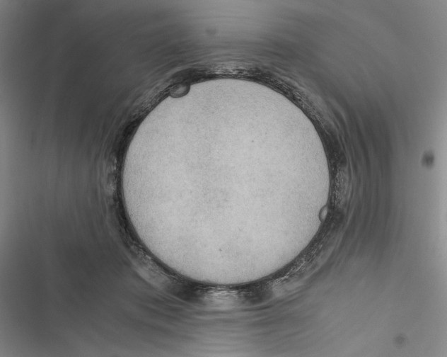 X0000116860413201001191706