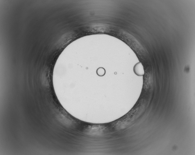 X0000116860414201001191706