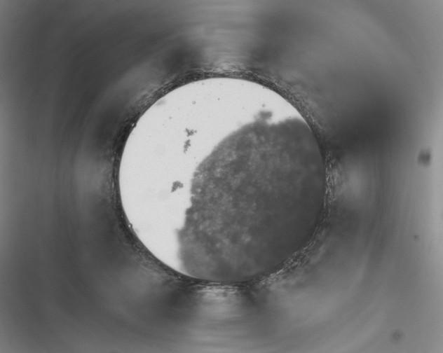 X0000116860415201001191706