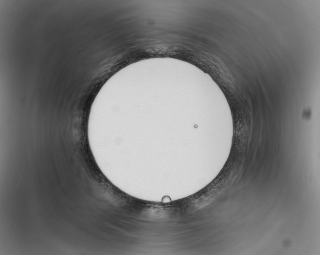 X0000116860416201001191706