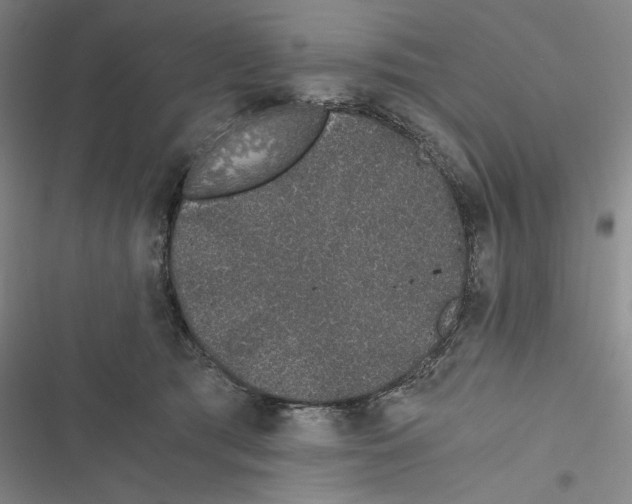 X0000116860417201001191706