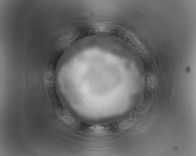 X0000116860419201001191706