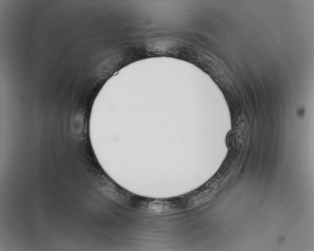 X0000116860420201001191706