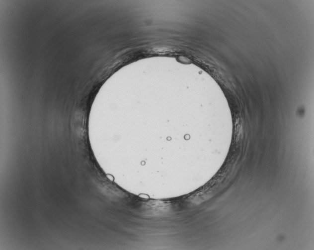 X0000116860421201001191706