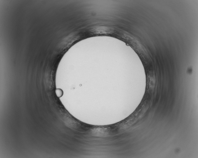 X0000116860422201001191706