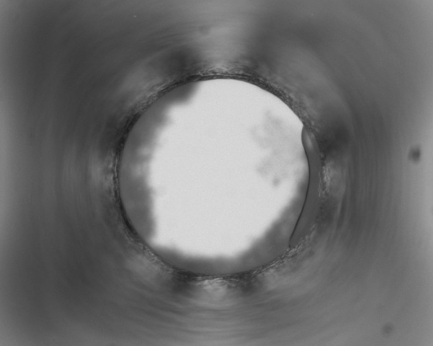 X0000116860423201001191706