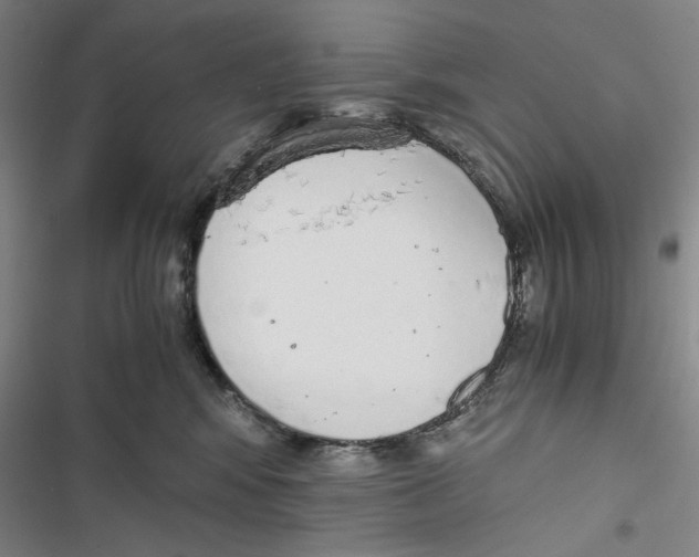 X0000116860424201001191706