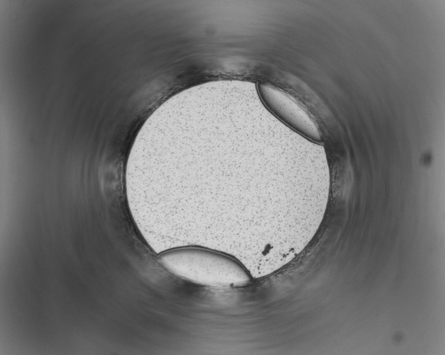 X0000116860425201001191706