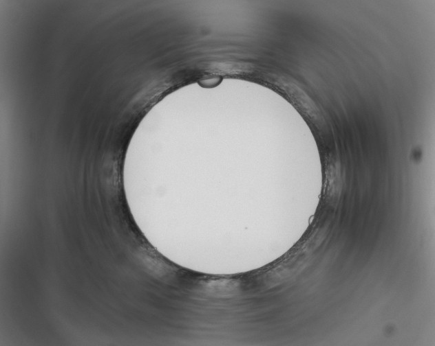 X0000116860426201001191705