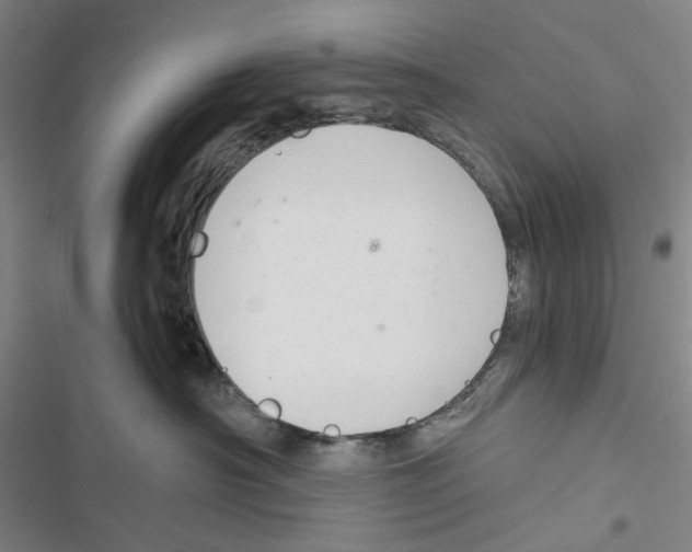 X0000116860430201001191705