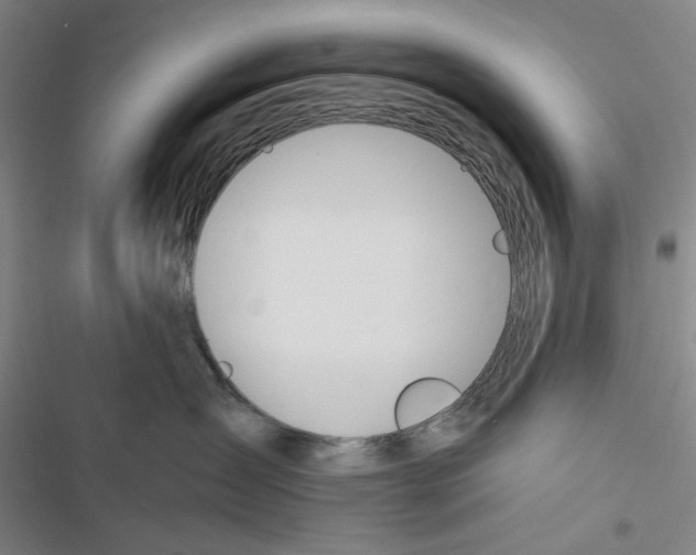 X0000116860431201001191705