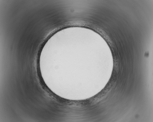 X0000116860434201001191705