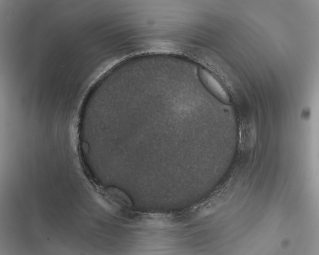 X0000116860436201001191705