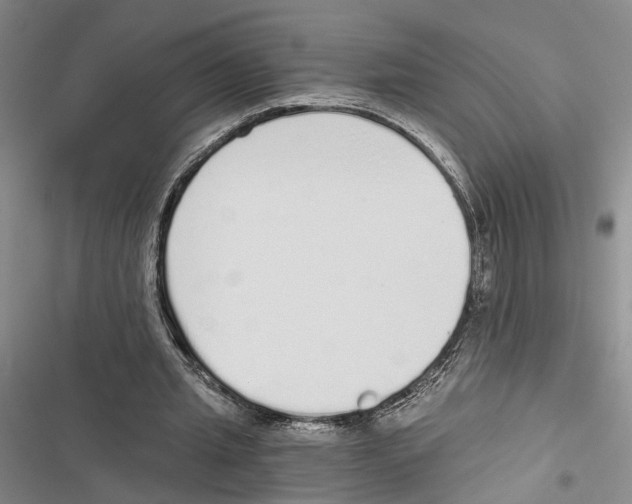 X0000116860437201001191705