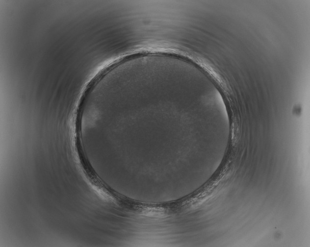 X0000116860438201001191705