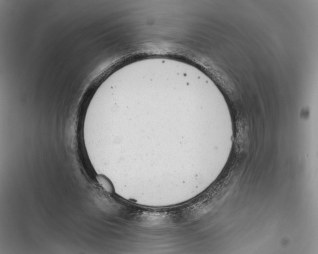 X0000116860440201001191705