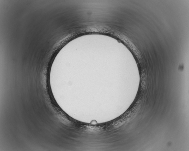 X0000116860442201001191705