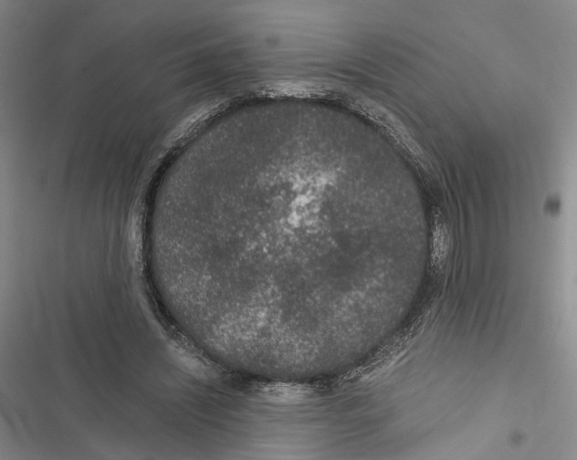 X0000116860444201001191705