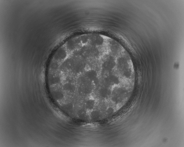 X0000116860447201001191705