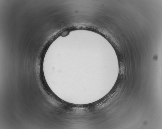 X0000116860448201001191705