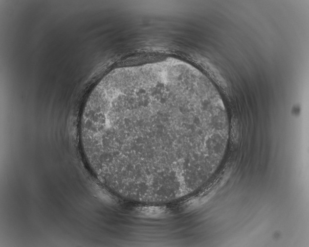 X0000116860449201001191705