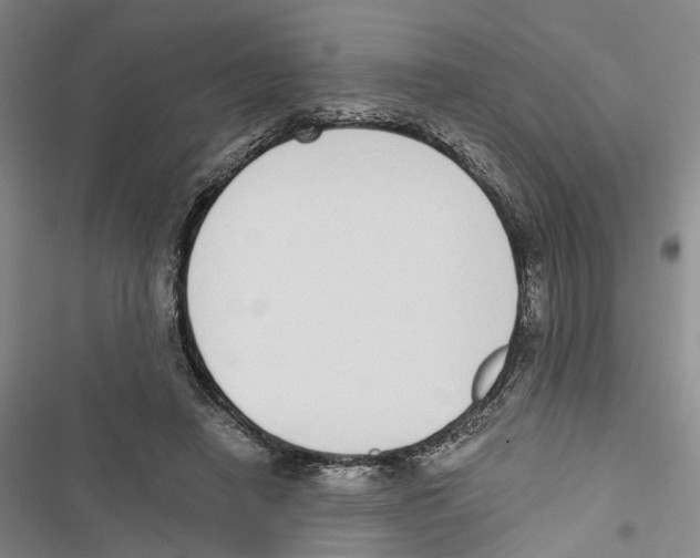 X0000116860450201001191705