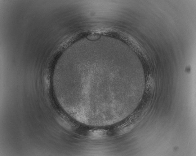 X0000116860452201001191705