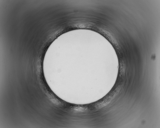 X0000116860453201001191705