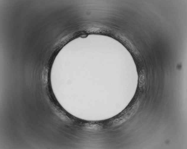 X0000116860454201001191705