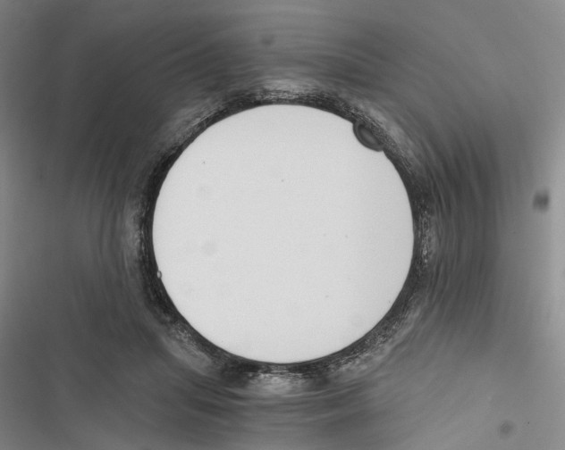 X0000116860455201001191705