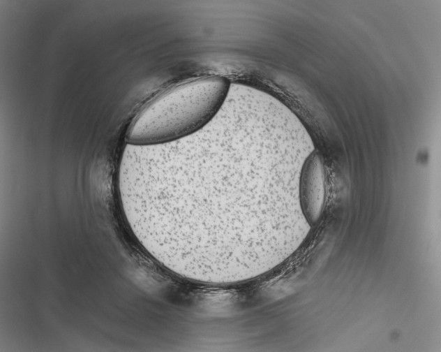 X0000116860456201001191705