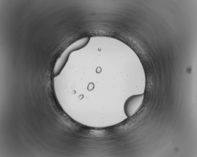 X0000116860457201001191705