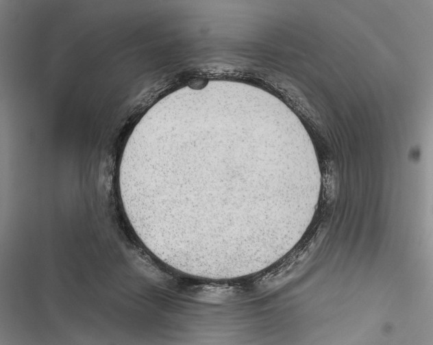 X0000116860458201001191705