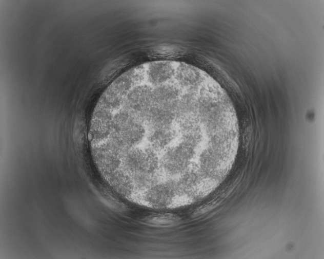 X0000116860459201001191705